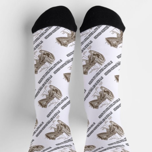 Wenn du nicht hörst, was ich Sprichwort höre Socken (Oben)