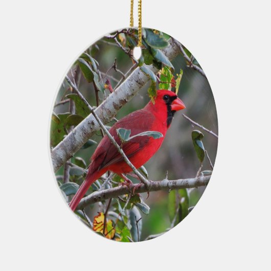 Wenn ein Kardinal erscheint, ist ein geliebter aus Keramik Ornament (Rechts)