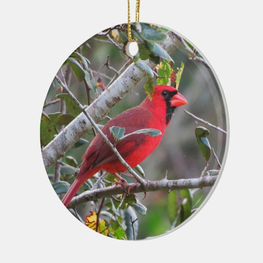 Wenn ein Kardinal erscheint, ist ein geliebter aus Keramik Ornament (Links)