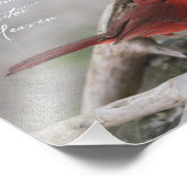 Wenn ein Kardinal in Ihrem Garten erscheint.. Fotodruck (Ecke)