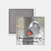 Wenn ein Kardinal in Ihrem Garten erscheint. Magne Magnet (Vorderseite/Rückseite)