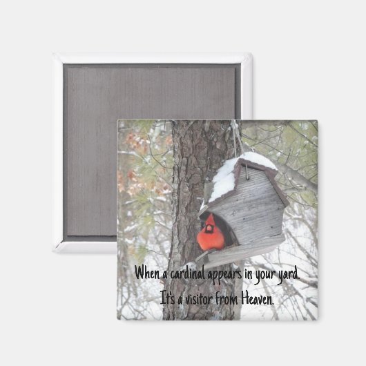 Wenn ein Kardinal in Ihrem Garten erscheint. Magne Magnet (Vorderseite/Rückseite)