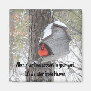 Wenn ein Kardinal in Ihrem Garten erscheint. Magne Magnet