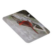 Wenn ein Kardinal in Ihrem Garten erscheint.. Magnet (Rechte Seite)