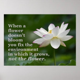 Wenn eine Blume nicht blüht Poster