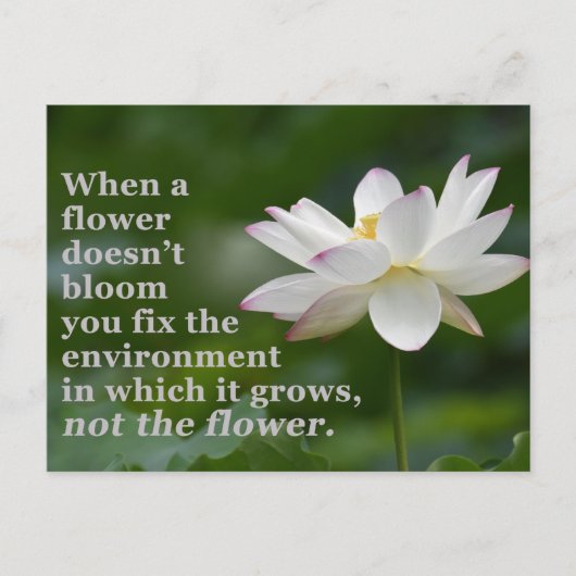 Wenn eine Blume nicht blüht Postkarte (Vorderseite)