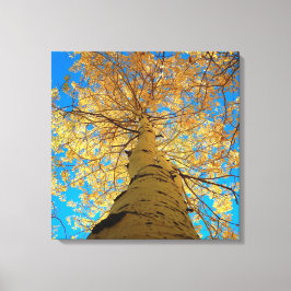 Wenn er absinkt, schaue nach oben! leinwanddruck