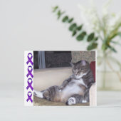 Wenn es eine Hose oder einen BH benötigt.. Fibro-B Postkarte (Stehend Vorderseite)