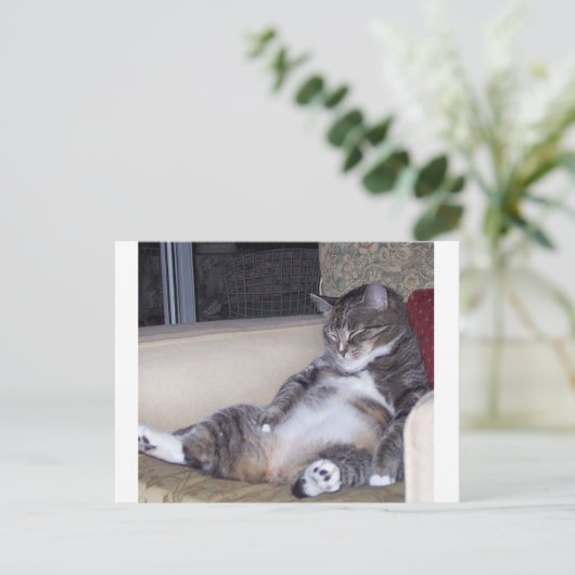 Wenn es eine Hose oder einen BH benötigt.. Postkarte (Stehend Vorderseite)