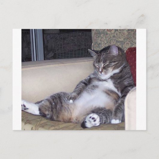 Wenn es eine Hose oder einen BH benötigt.. Postkarte (Vorderseite)