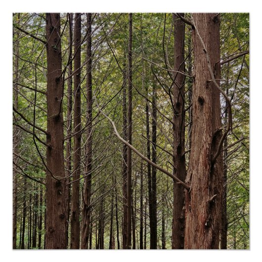 Wenn es hart auf hart kommt, geht das Schwierige Poster (Vorderseite)