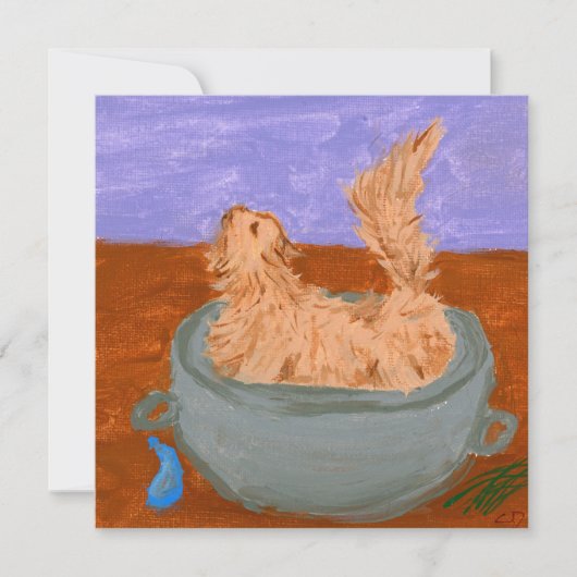 Wenn Hexen nicht aussehen (Vorderseite)