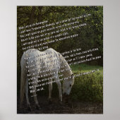 Wenn ich eine alte Horsefrau bin III Poster (Vorne)