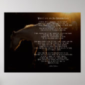 Wenn ich eine alte Horsefrau bin Poster (Vorne)