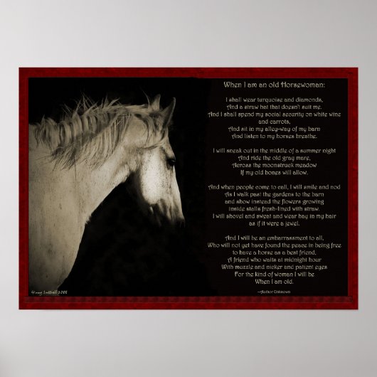 Wenn ich eine alte Horsefrau bin Poster (Vorne)