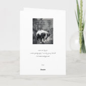 Wenn ich eine Grußkarte für Pferde hätte Karte (Rückseite)