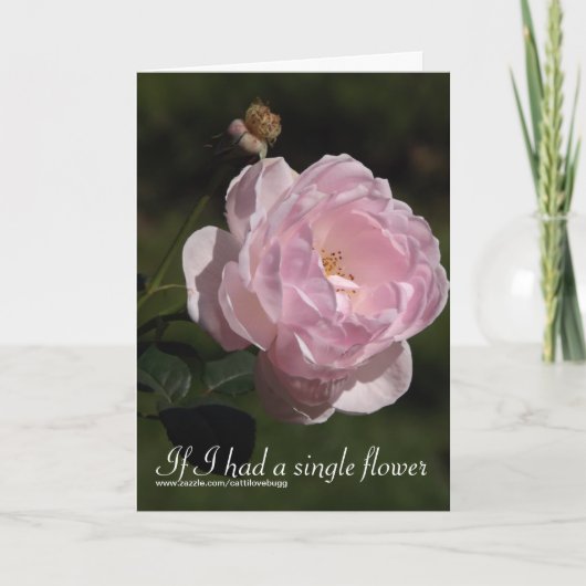 Wenn ich eine Single-Blume hatte, Karte des (Vorderseite)