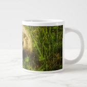 Wenn ich heute immer wieder Tasse wiederholen muss (Rechts)