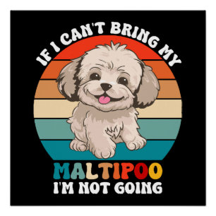 Wenn ich meinen Maltipoo-Hund nicht mitbringen kan Poster