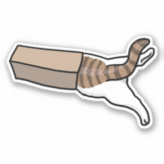 Wenn ich mich anpasst, setze ich Katze in Kiste Aufkleber