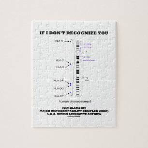 Wenn ich nicht erkenne, tadeln Sie gerade meine Puzzle