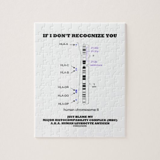 Wenn ich nicht erkenne, tadeln Sie gerade meine Puzzle (Vertikal)