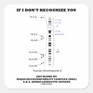 Wenn ich nicht erkenne, tadeln Sie gerade meine Quadratischer Aufkleber