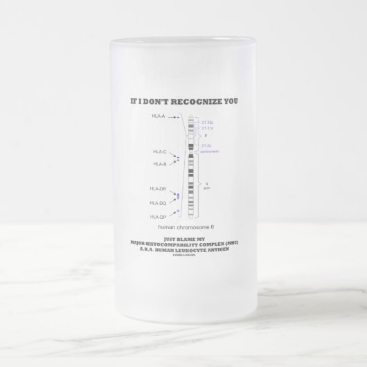 Wenn ich Sie nicht erkenne, geben Sie einfach mein Mattglas Bierglas (Mittel)