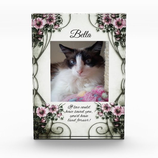 Wenn Ihnen die Liebe gerettet hätte.. Foto Block (Vorderseite)