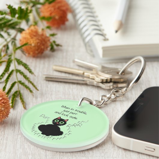 Wenn im Problem Schlüsselanhänger (Vorderseite rechts)