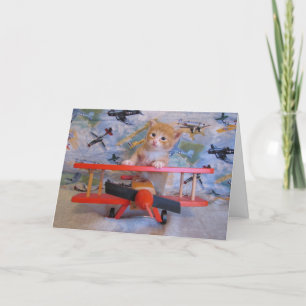 Wenn Kätzchen fliegen Karte