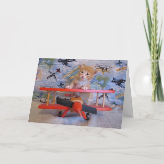 Wenn Kätzchen fliegen Karte (Vorderseite)