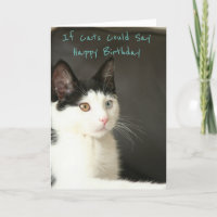 Wenn Katzen Alles Gute zum Geburtstag sagen könnte