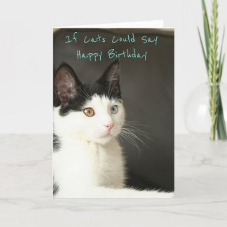 Wenn Katzen Alles Gute zum Geburtstag sagen könnte Karte