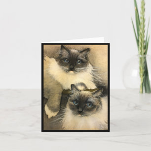 Wenn Katzen reden könnten Karte