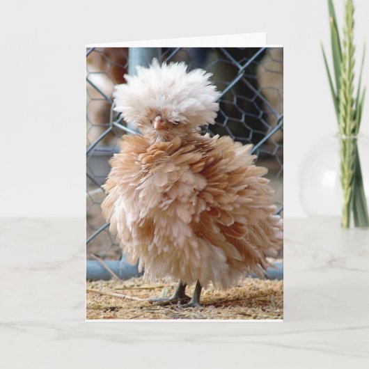 WENN KRANKEN EINEN HAMBURGER ESSEN ***KEINEN SOUUP KARTE (Vorderseite)