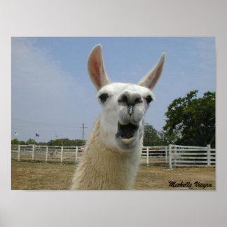 Wenn Llamas angreifen Poster