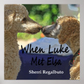 Wenn Luke Met Elsa Poster (Vorne)