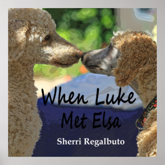 Wenn Luke Met Elsa Poster