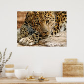 Wenn nur... ich Gerettet werden könnte Poster (Küche)