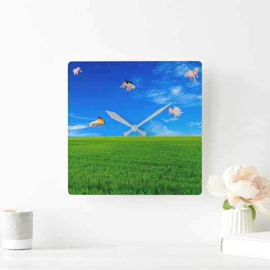 Wenn Schweine die Uhr am Fly Square halten (Zuhause)