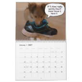 Wenn Shelties sprechen könnten Kalender (Jan 2027)