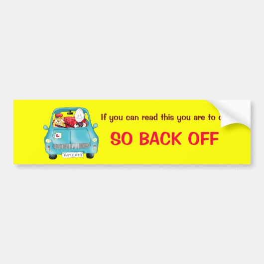 Wenn Sie dieses lesen können, sind Sie… Autoaufkleber (Vorne)