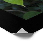 Wenn Sie einen Garten und eine Bibliothek haben, h Poster (Ecke)