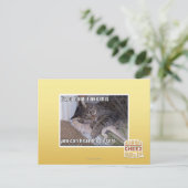 Wenn Sie es halten, mögen Sie dieses Postkarte (Stehend Vorderseite)