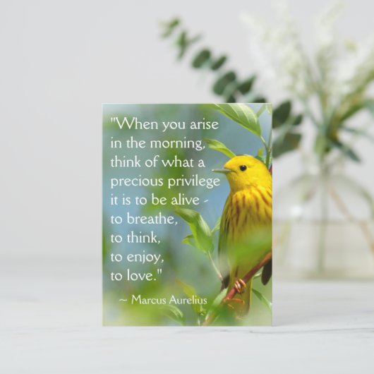 Wenn Sie Marcus Aurelius Inspiration Zitat P Postkarte (Stehend Vorderseite)