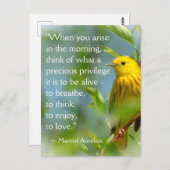 Wenn Sie Marcus Aurelius Inspiration Zitat P Postkarte (Vorne/Hinten)