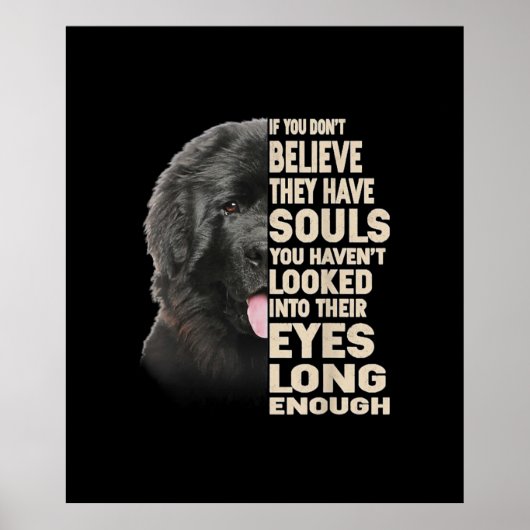 Wenn Sie nicht glauben, sie haben Soule Neufundlan Poster (Vorne)