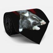 Wenn Sie nicht Katzenhaar. mögen. Gehen Sie VON Krawatte (Gerollt)