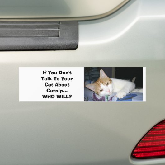 Wenn Sie nicht mit Ihrer Katze über Katzenminze Autoaufkleber (Auf Auto)